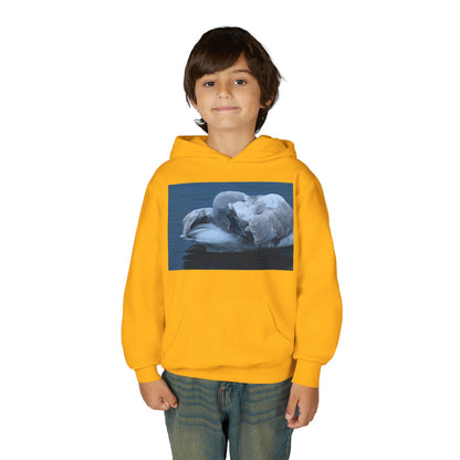 Youth Hoodie with Sleeping Swan Photo — Cozy Wildlife Sweatshirt
