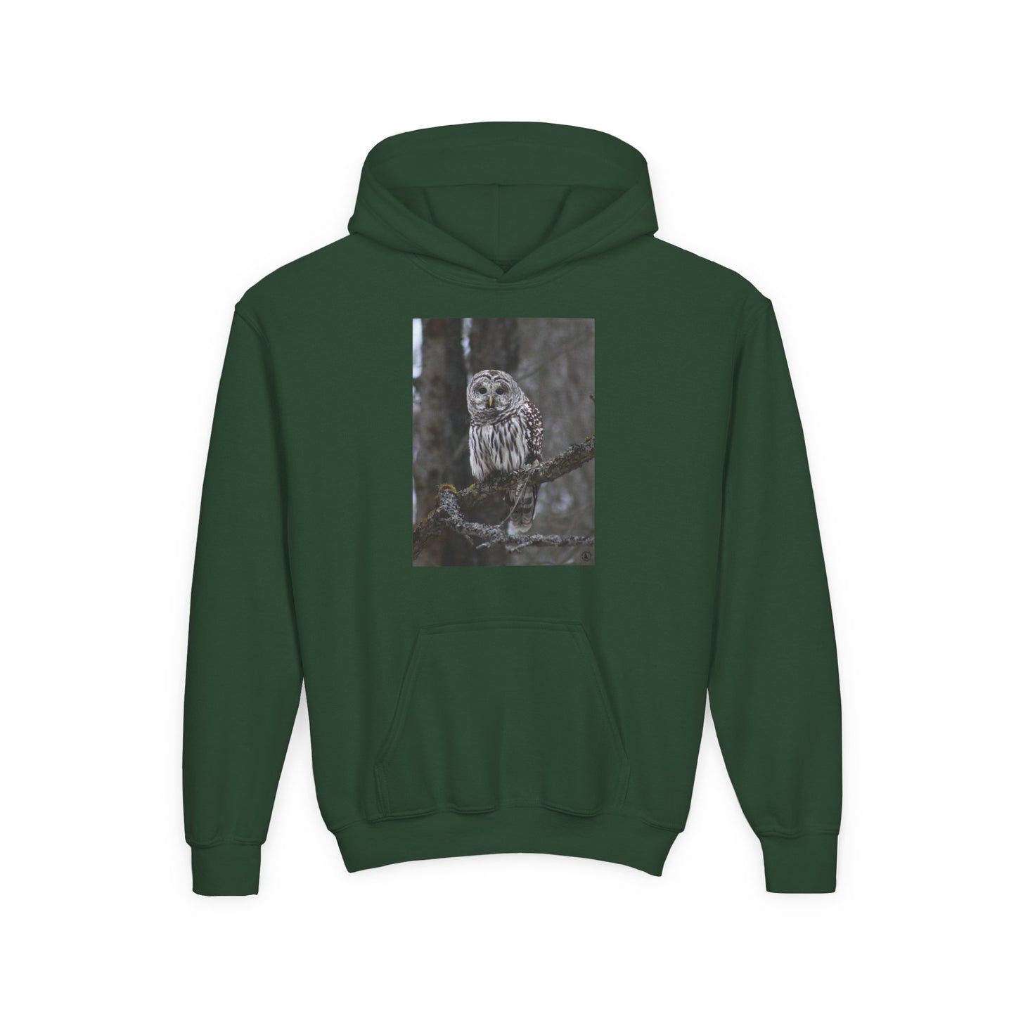 Owl Portrait Youth Hoodie — Realistic Forest Owl Graphic
