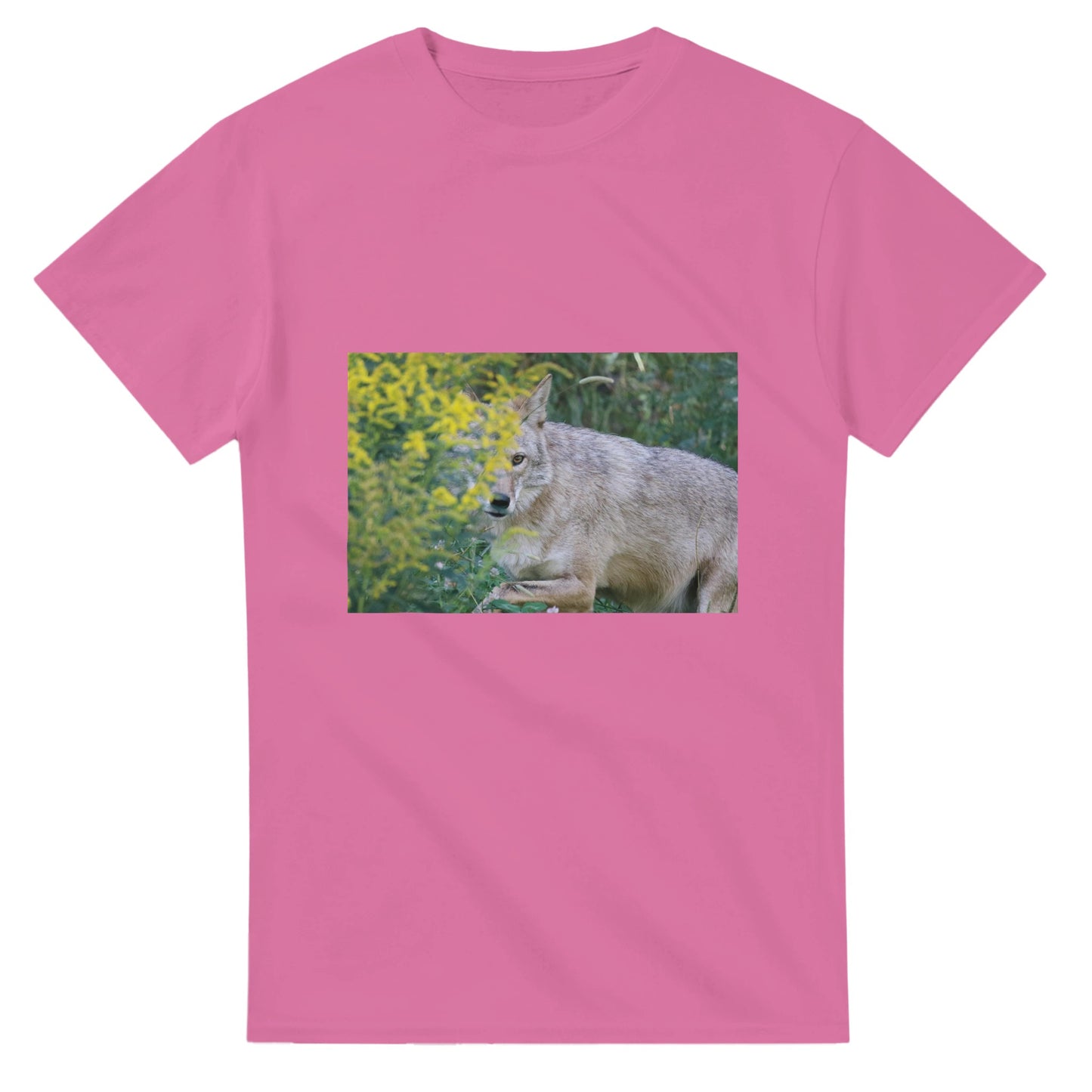 542b95fc-6bc0-4e8c-be07-df71297a0ac7