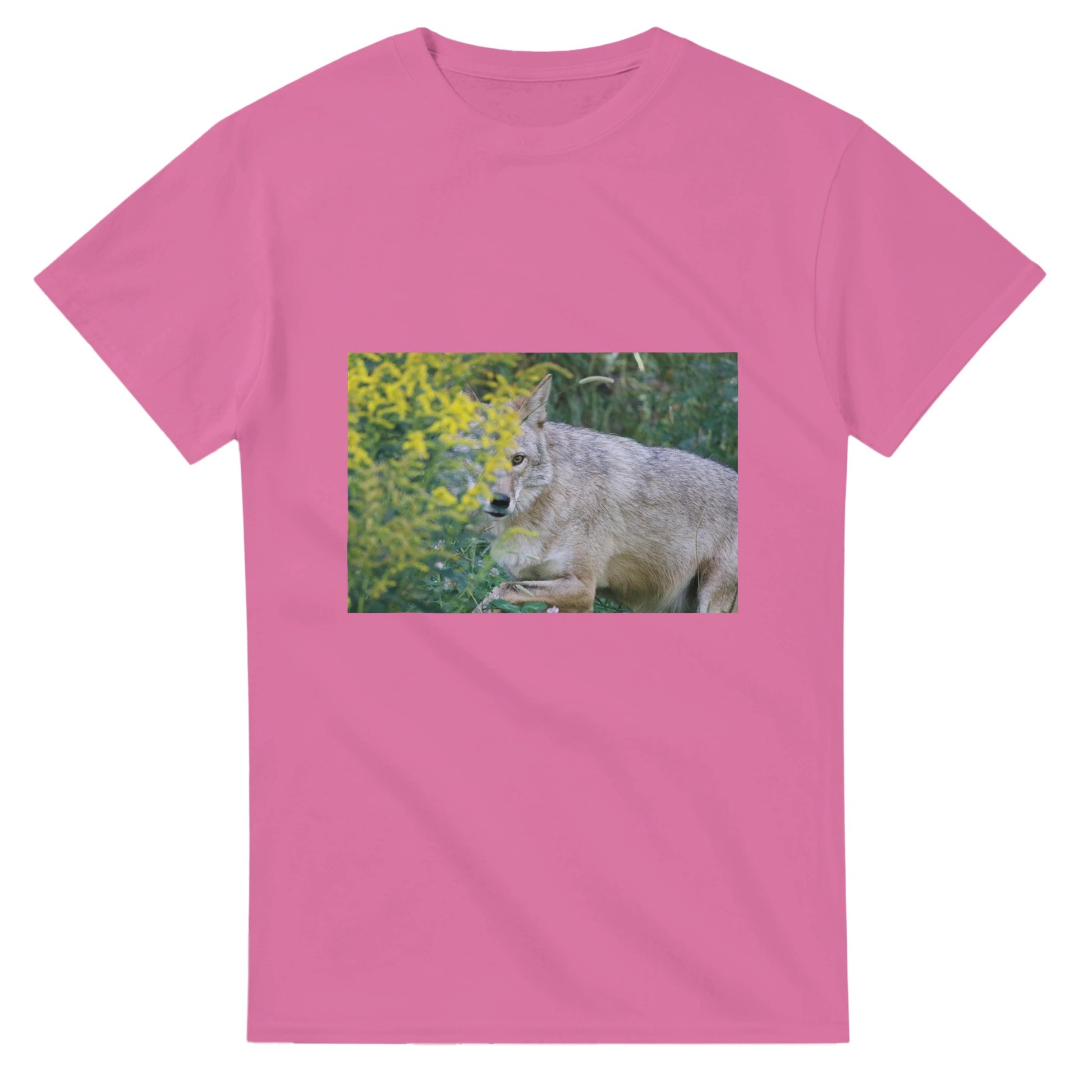 542b95fc-6bc0-4e8c-be07-df71297a0ac7