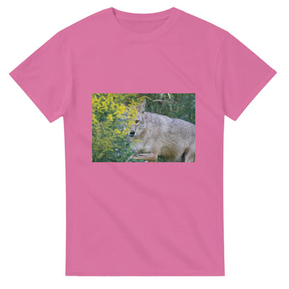 542b95fc-6bc0-4e8c-be07-df71297a0ac7