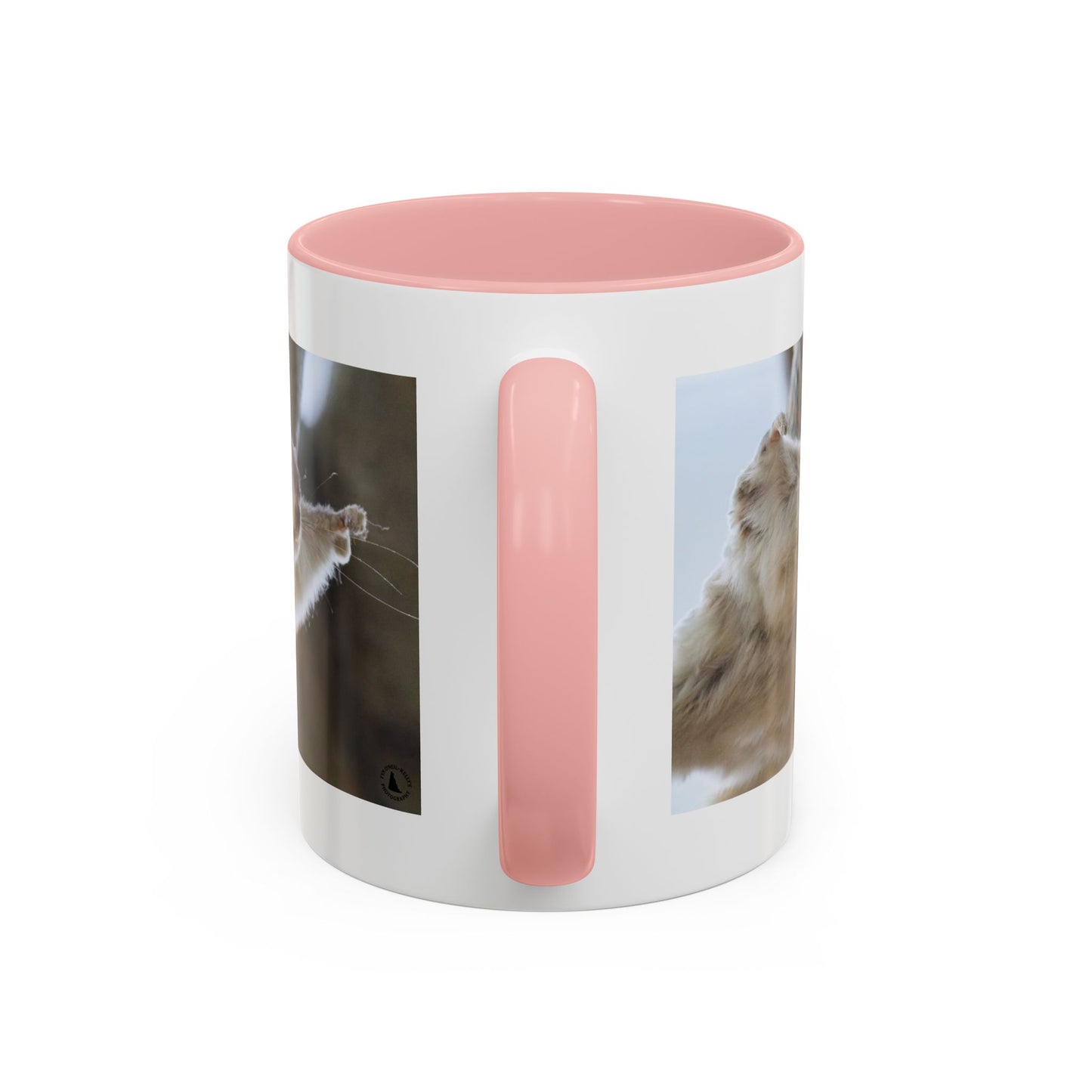 Flying Squirrel Accent Coffee Mug — Cute Wildlife Photo Mug (11/15oz)