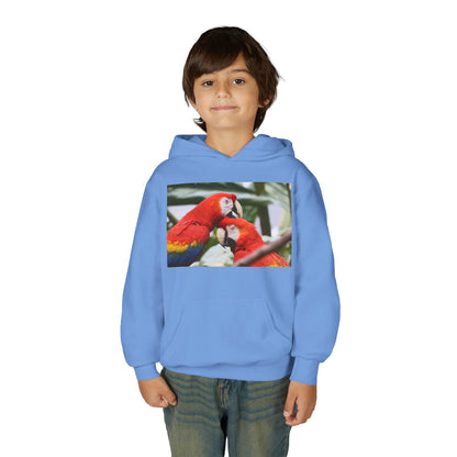 Youth Parrot Hoodie – Colorful Scarlet Macaw Kids Pullover