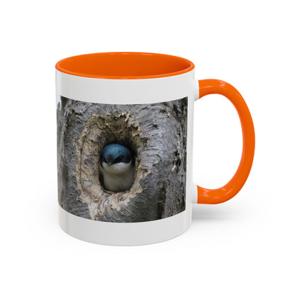 Bluebird in Tree Cavity Accent Coffee Mug — Nature Wildlife Ceramic Mug (11/15oz)
