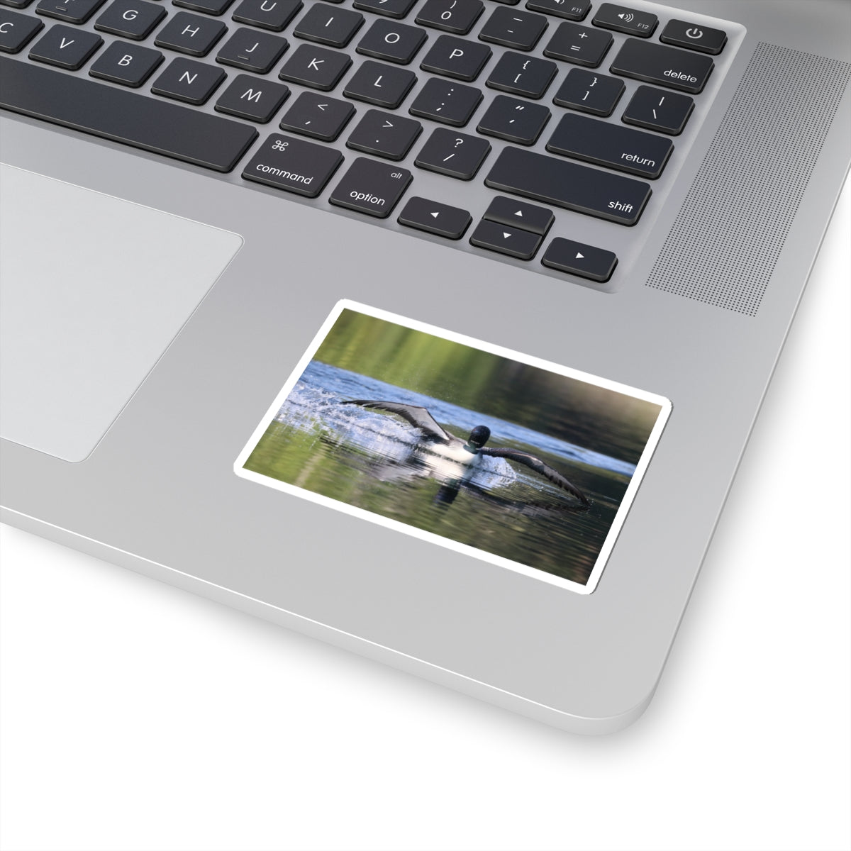 Loon Landing Photo Sticker — Waterproof Kiss-Cut Nature Decal