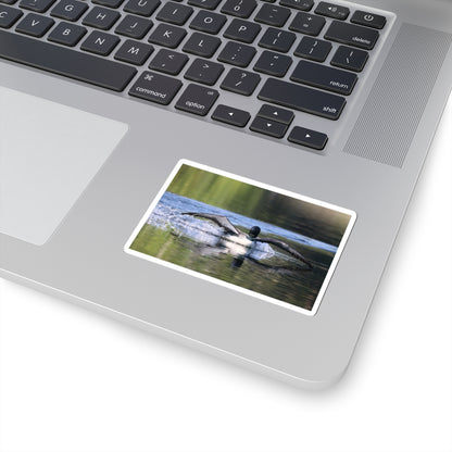 Loon Landing Photo Sticker — Waterproof Kiss-Cut Nature Decal