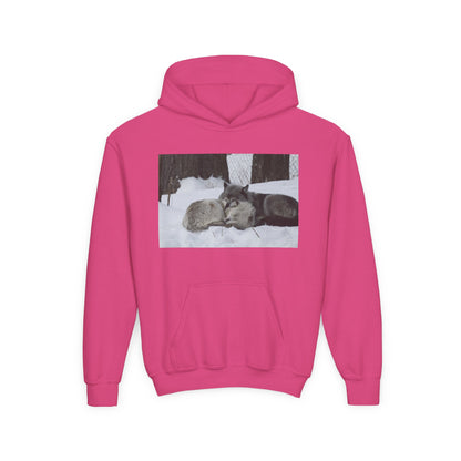 Youth Heavy Blend Hooded Sweatshirt