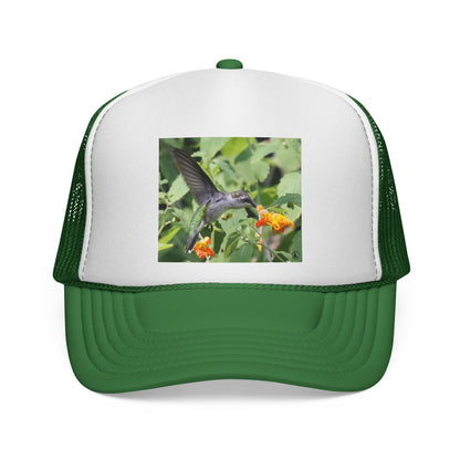 Hummingbird Photo Trucker Cap — Nature Wildlife Mesh Hat