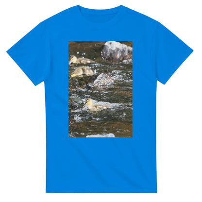 55029de9-671c-4734-beb8-1cd174234fd1