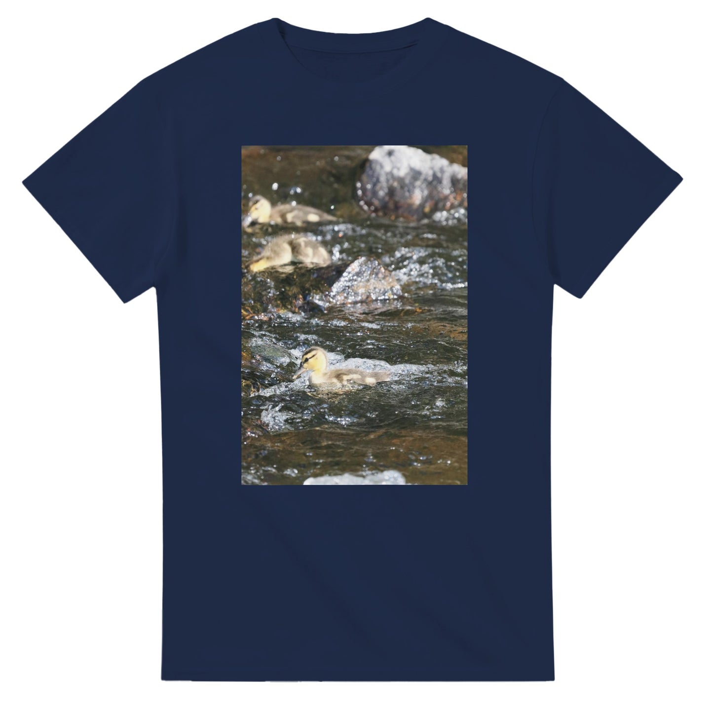 55192926-317d-464e-9a62-46e6c208d972