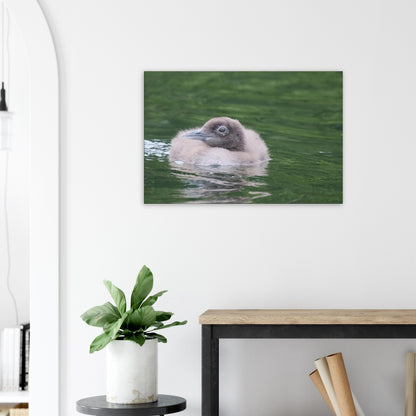 55212789-5aa8-4763-878a-fe137ef4f1fd