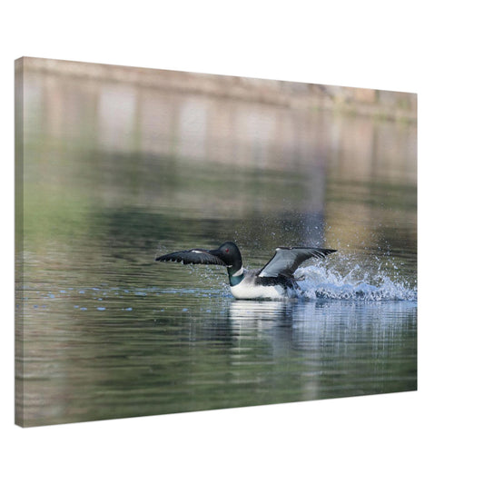 5529d098-b7d0-46ef-af7b-7bf62dfe4acd