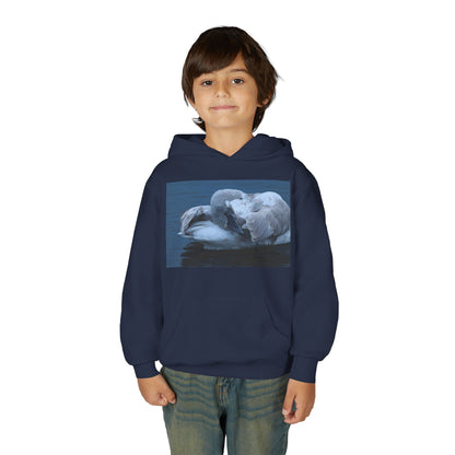 Youth Hoodie with Sleeping Swan Photo — Cozy Wildlife Sweatshirt