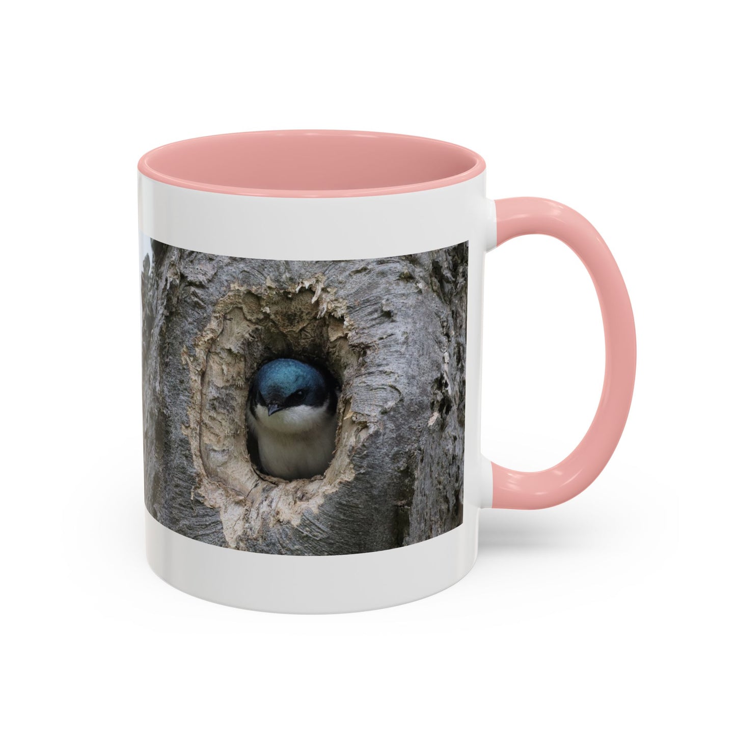 Bluebird in Tree Cavity Accent Coffee Mug — Nature Wildlife Ceramic Mug (11/15oz)