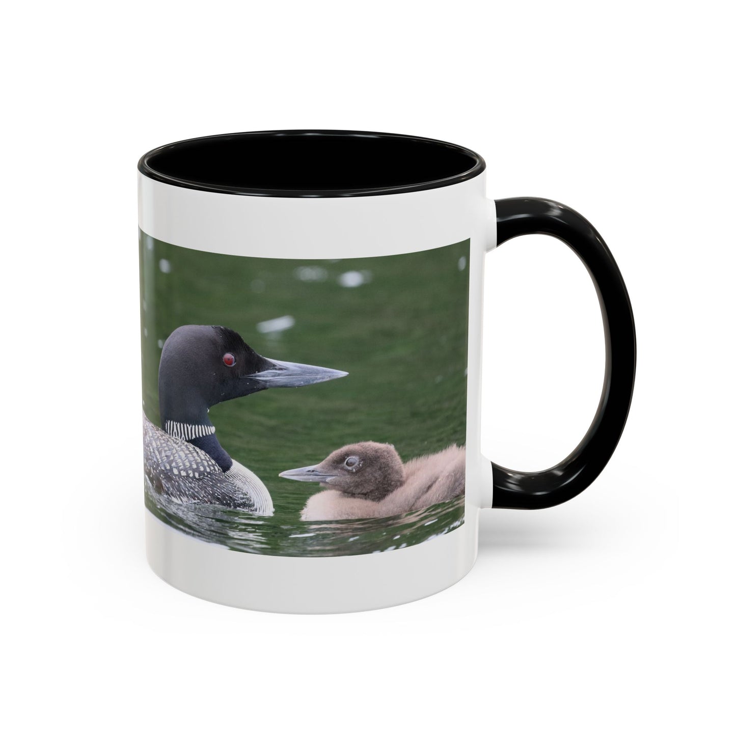 Loon Family Accent Coffee Mug – Wildlife Photo Tea Mug (11/15 oz)