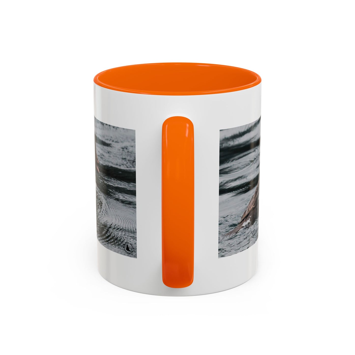 Goldeneye Duck Photo Accent Coffee Mug — Wildlife Nature Lover Gift (11/15 oz)