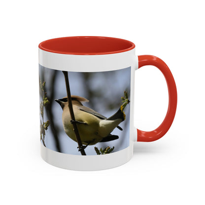 Cedar Waxwing Bird Photo Accent Coffee Mug