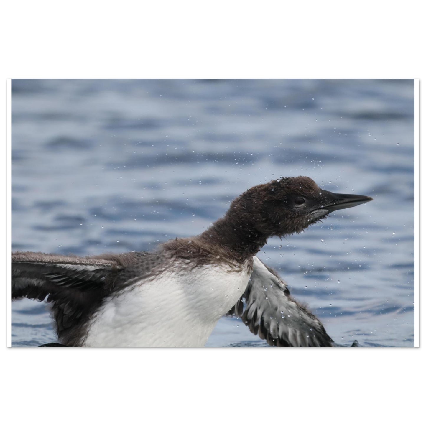 564d452f-7f7e-4f15-b526-f10bd7ae79b9