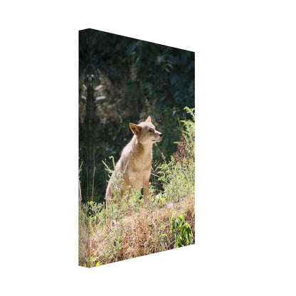 565cf864-fcc8-4cf1-a164-ea98f40e3c7f