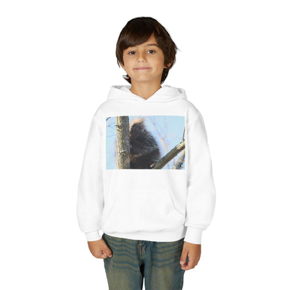 Youth Hoodie with Tree-Climbing Porcupine Photo – Cute Wildlife Kids Sweatshirt