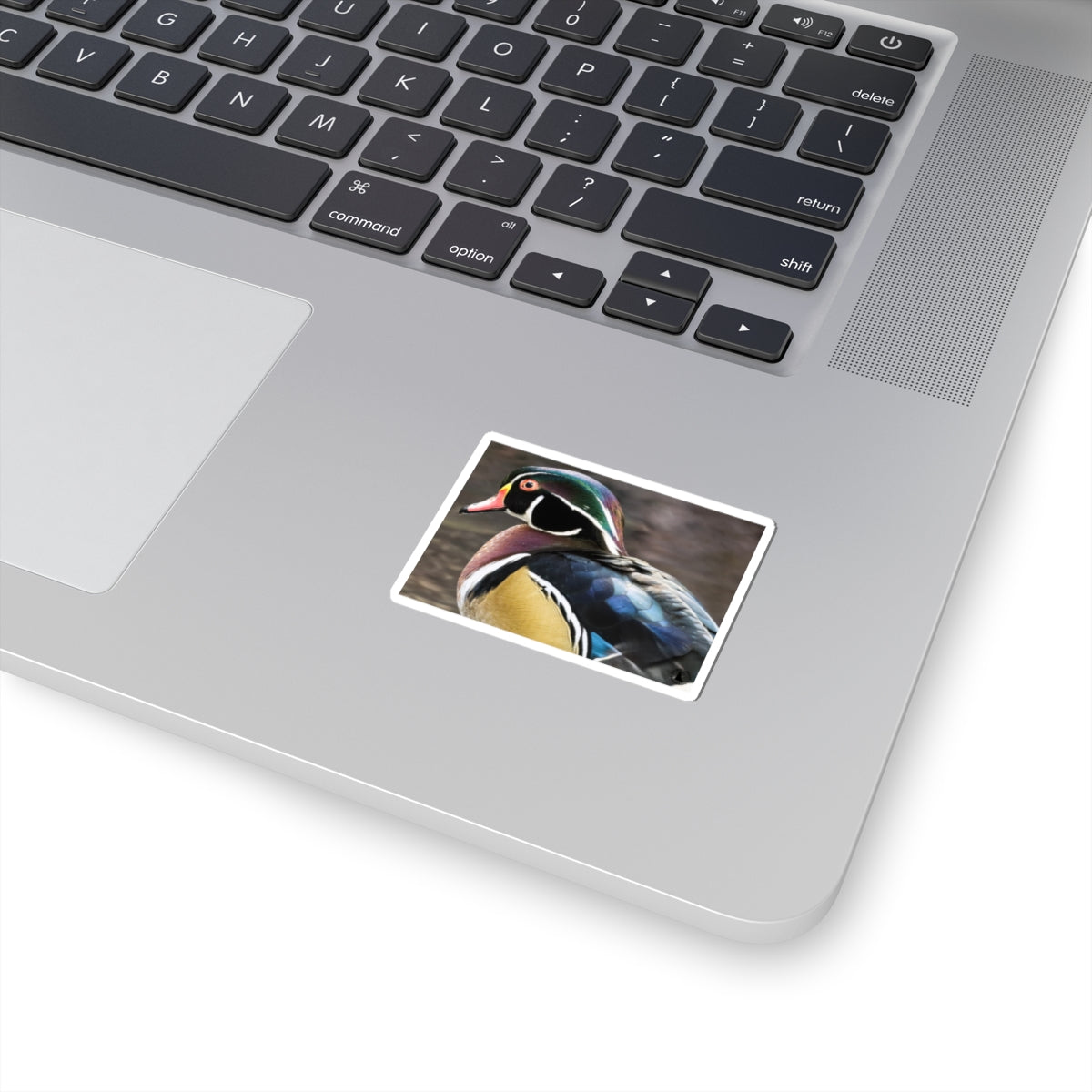 Wood Duck Kiss-Cut Sticker — Colorful Waterfowl Vinyl Decal for Laptop, Water Bottle, Planner