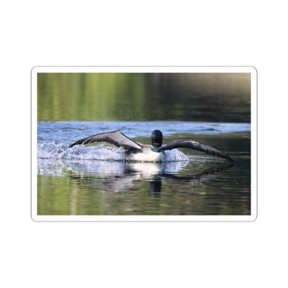 Loon Landing Photo Sticker — Waterproof Kiss-Cut Nature Decal