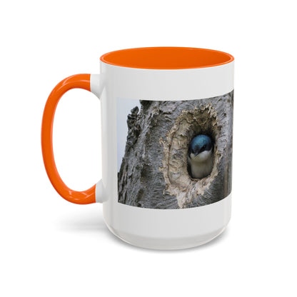 Bluebird in Tree Cavity Accent Coffee Mug — Nature Wildlife Ceramic Mug (11/15oz)