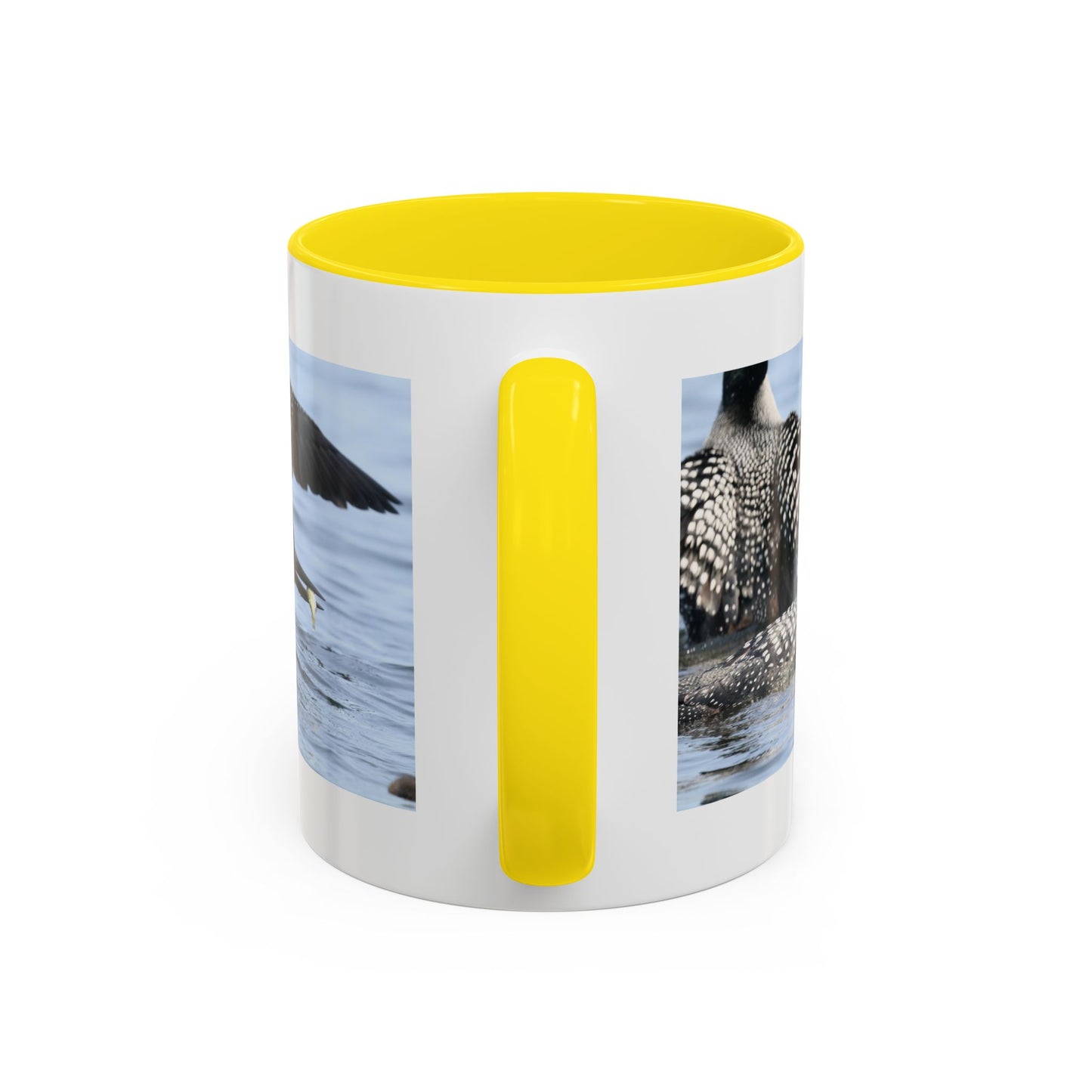 Common Loon Accent Coffee Mug – Wildlife Photography Bird Lover Gift (11/15oz)