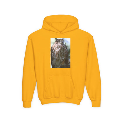 Youth Owl Hoodie – Photoreal Hawk Owl Print Kids' Hooded Sweatshirt