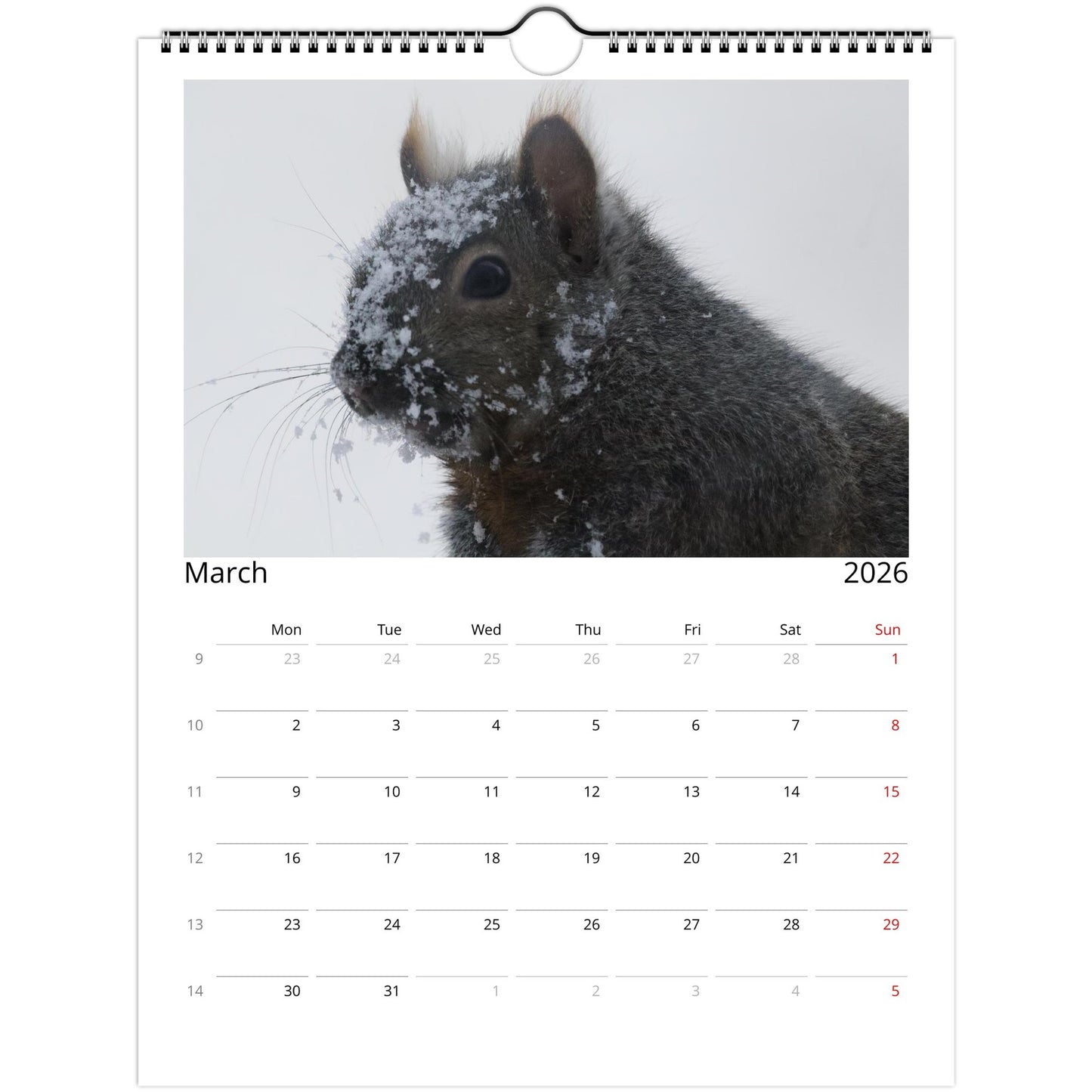 577b8bf1-f56f-4bec-ab39-d0d516208c2b