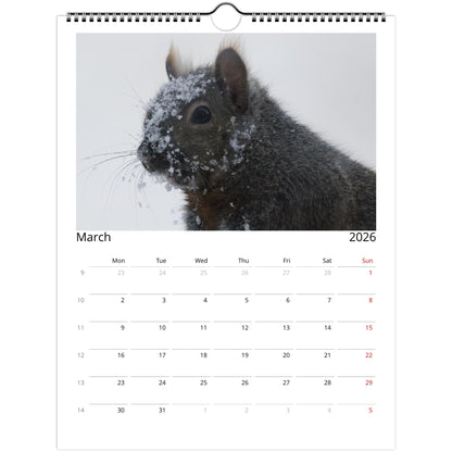 577b8bf1-f56f-4bec-ab39-d0d516208c2b