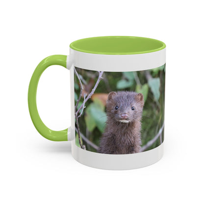 Cute Mink Photo Accent Mug – Wildlife Photography Coffee Cup (11/15 oz)
