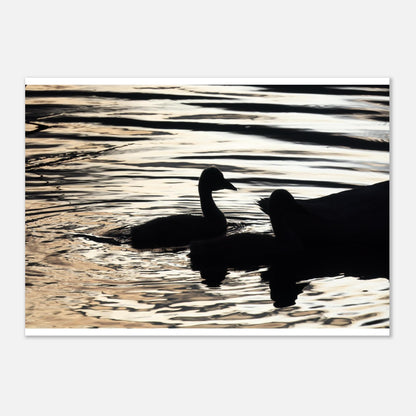 5785d2c5-279b-4d76-984c-484d91af29e3