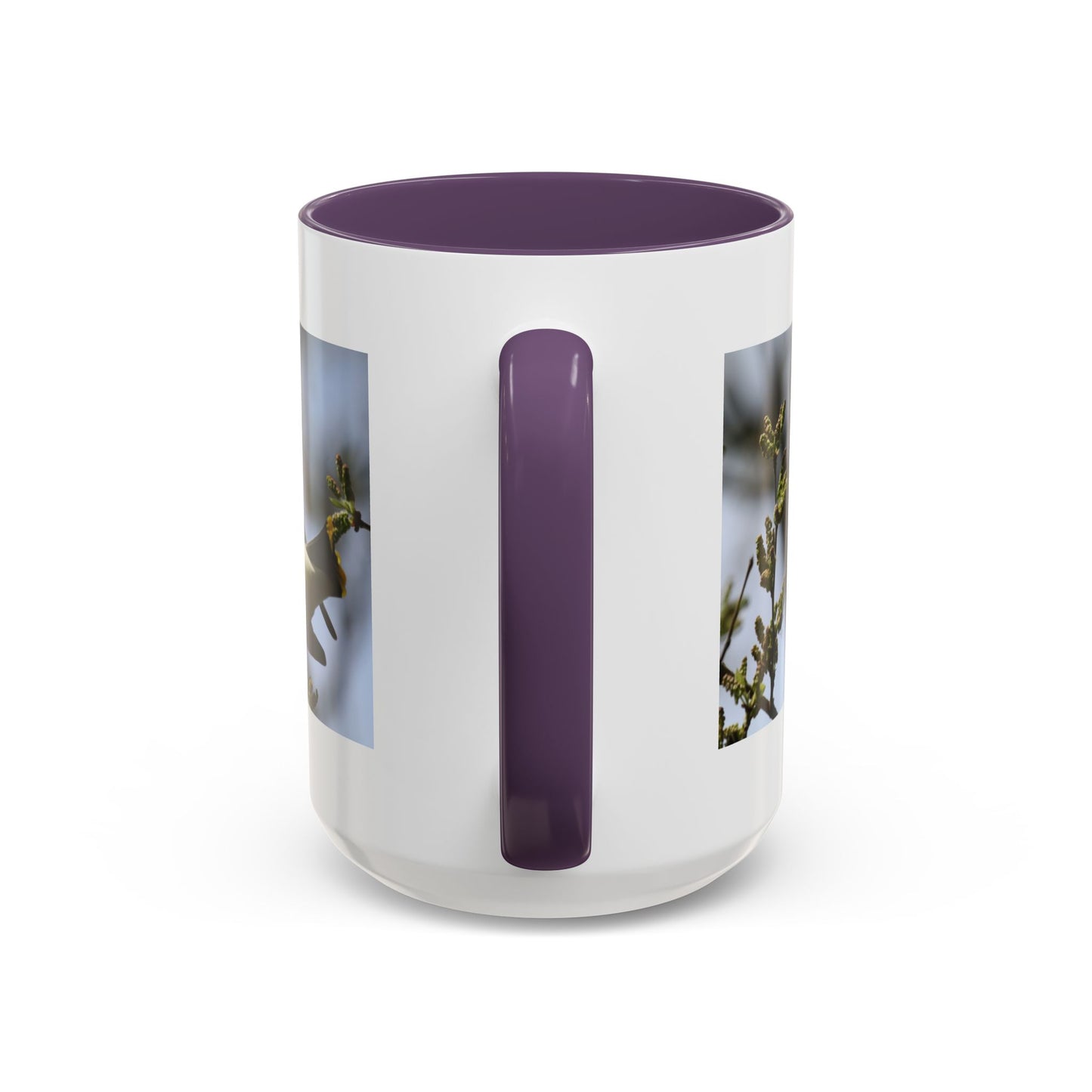 Cedar Waxwing Bird Photo Accent Coffee Mug