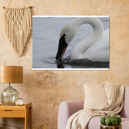 57b51512-42f4-4542-b81a-75b614b27893