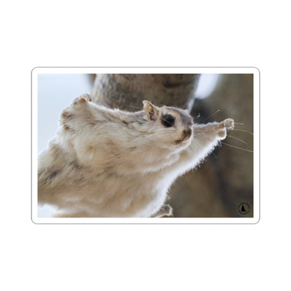 Flying Sugar Glider Sticker — Cute Gliding Pet Laptop Decal