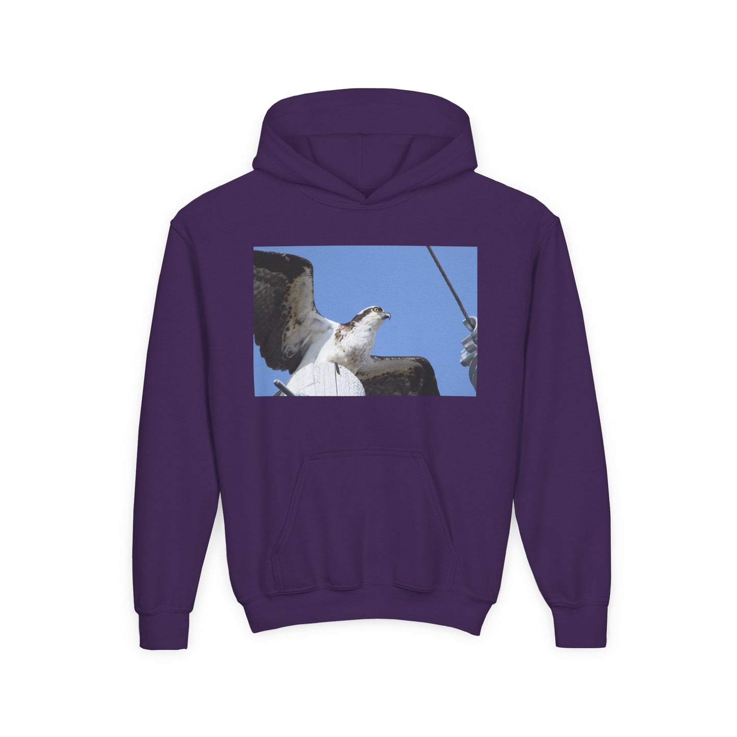 Youth Osprey Photo Hoodie — Kids Birdwatching Nature Pullover
