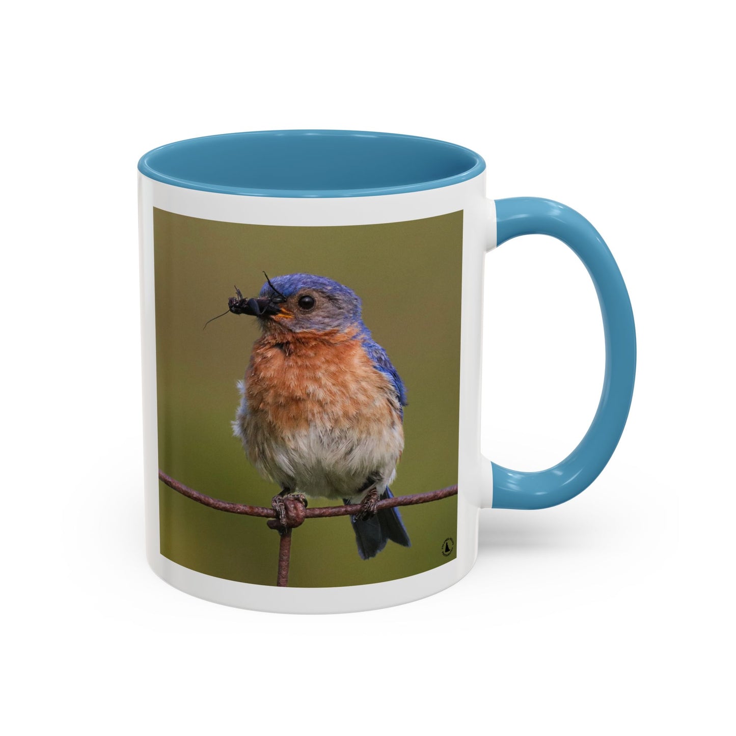Bluebird Photo Coffee Mug — Eastern Bluebird with Insect Accent Mug (11/15 oz)