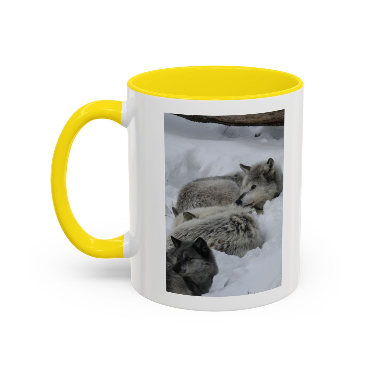 Wolf Pack Coffee Mug – Accent Black Handle 11/15oz, Winter Wildlife Photo