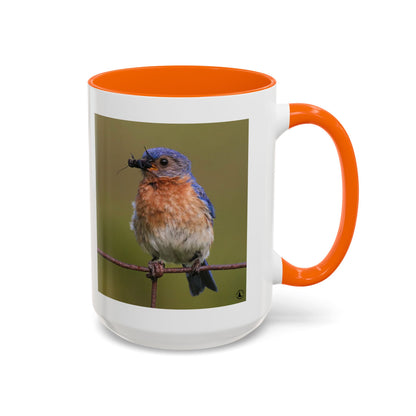 Bluebird Photo Coffee Mug — Eastern Bluebird with Insect Accent Mug (11/15 oz)