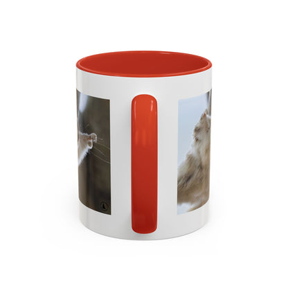 Flying Squirrel Accent Coffee Mug — Cute Wildlife Photo Mug (11/15oz)