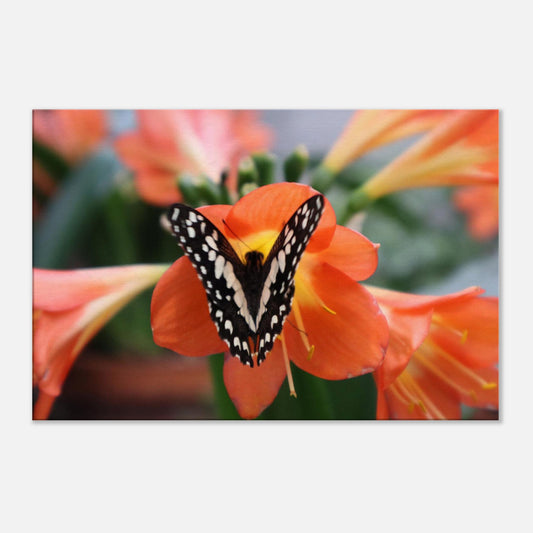 58c42f29-1a57-47e1-a8da-034f0ba2a623