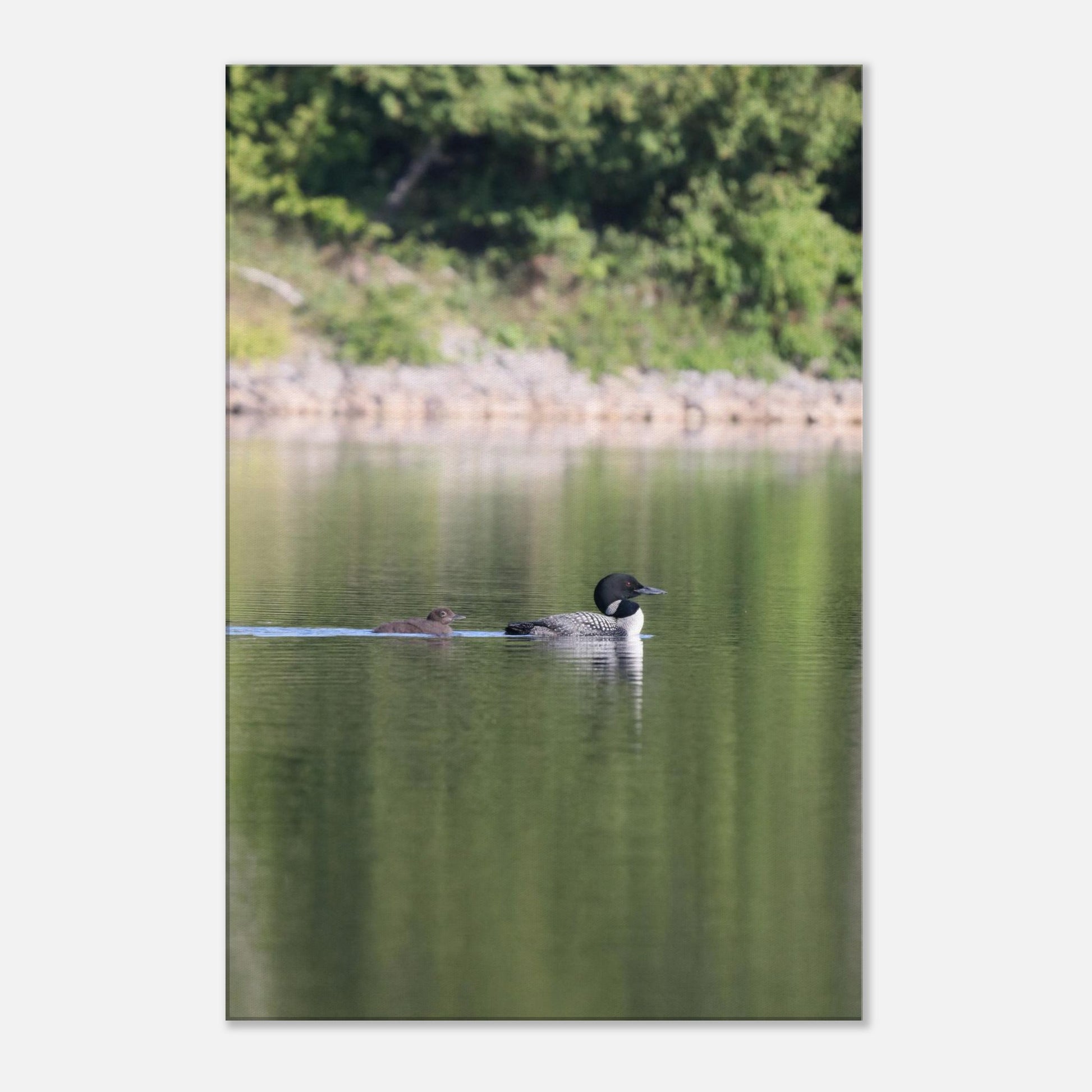 58d16285-c47e-4a1c-890a-b67a05b7ed4c