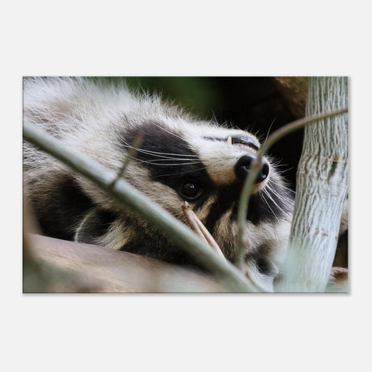 59007c67-dfca-441a-a433-40f99d1e280f