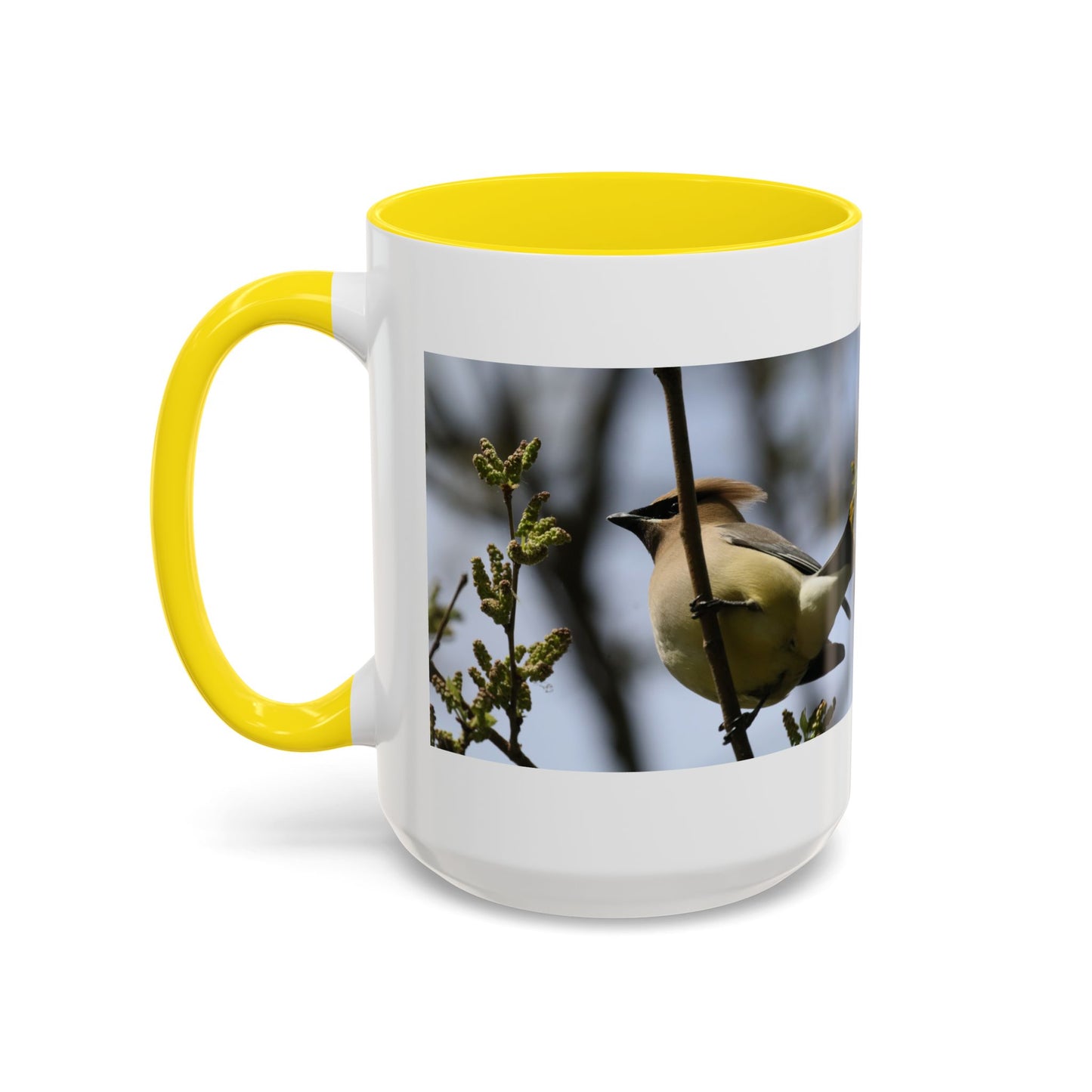 Cedar Waxwing Bird Photo Accent Coffee Mug