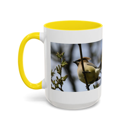 Cedar Waxwing Bird Photo Accent Coffee Mug