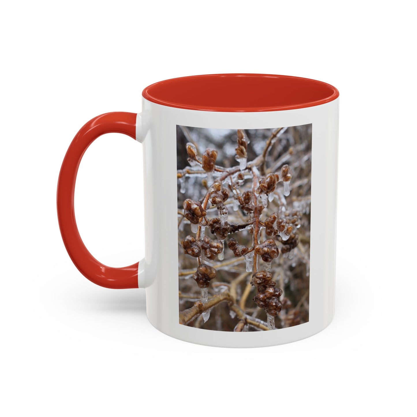 Ice-Coated Berries Accent Coffee Mug (11/15 oz) — Winter Nature Photo