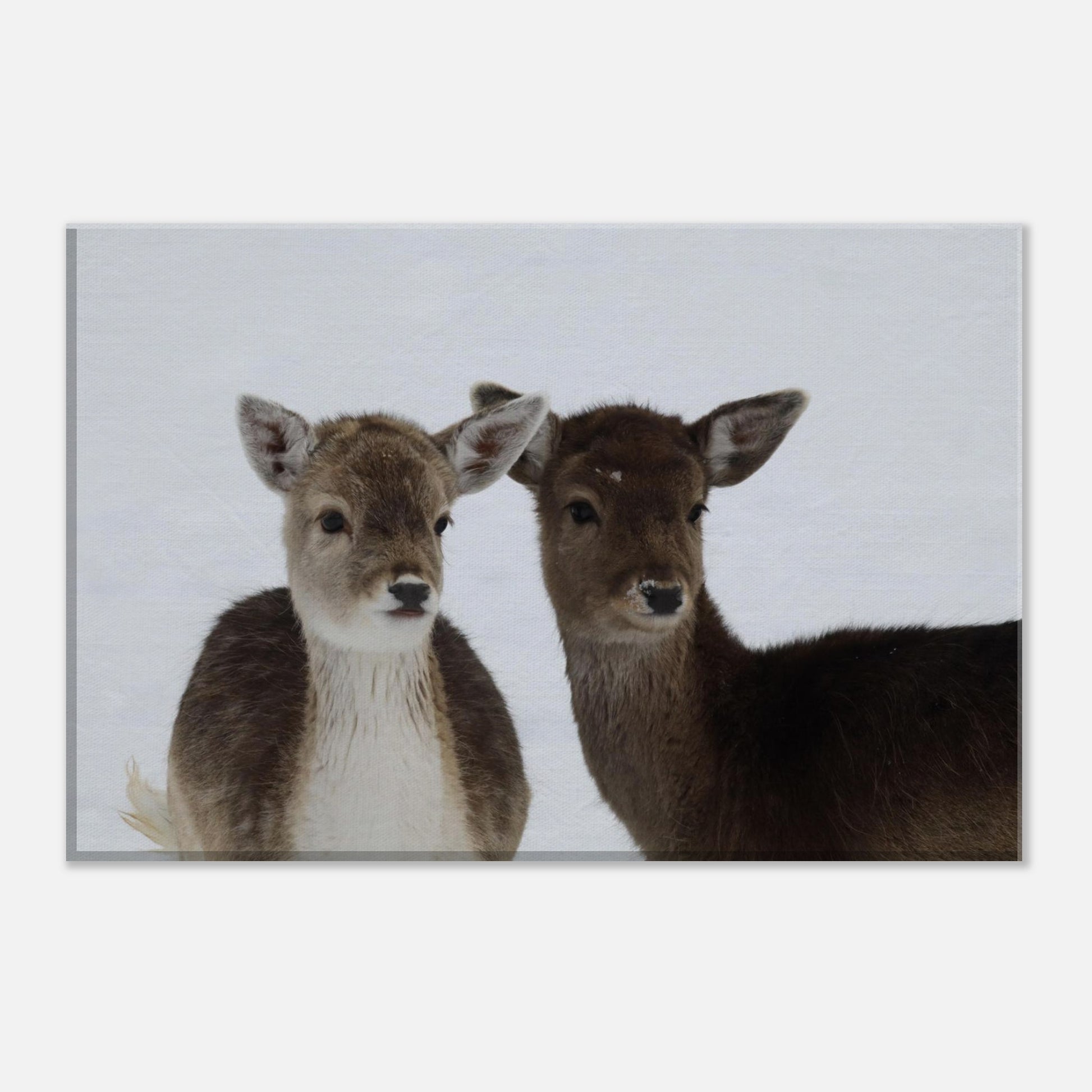 591adfa0-4b15-4f1e-b0bf-274937486197