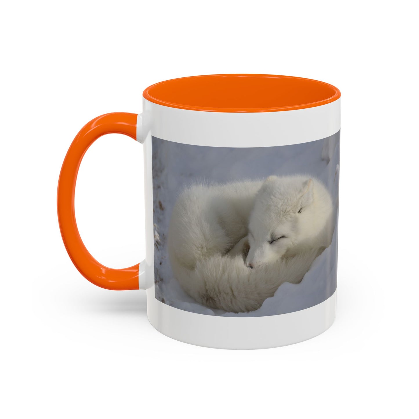 Arctic Fox Photo Accent Coffee Mug – Winter Wildlife Ceramic Mug (11/15oz)