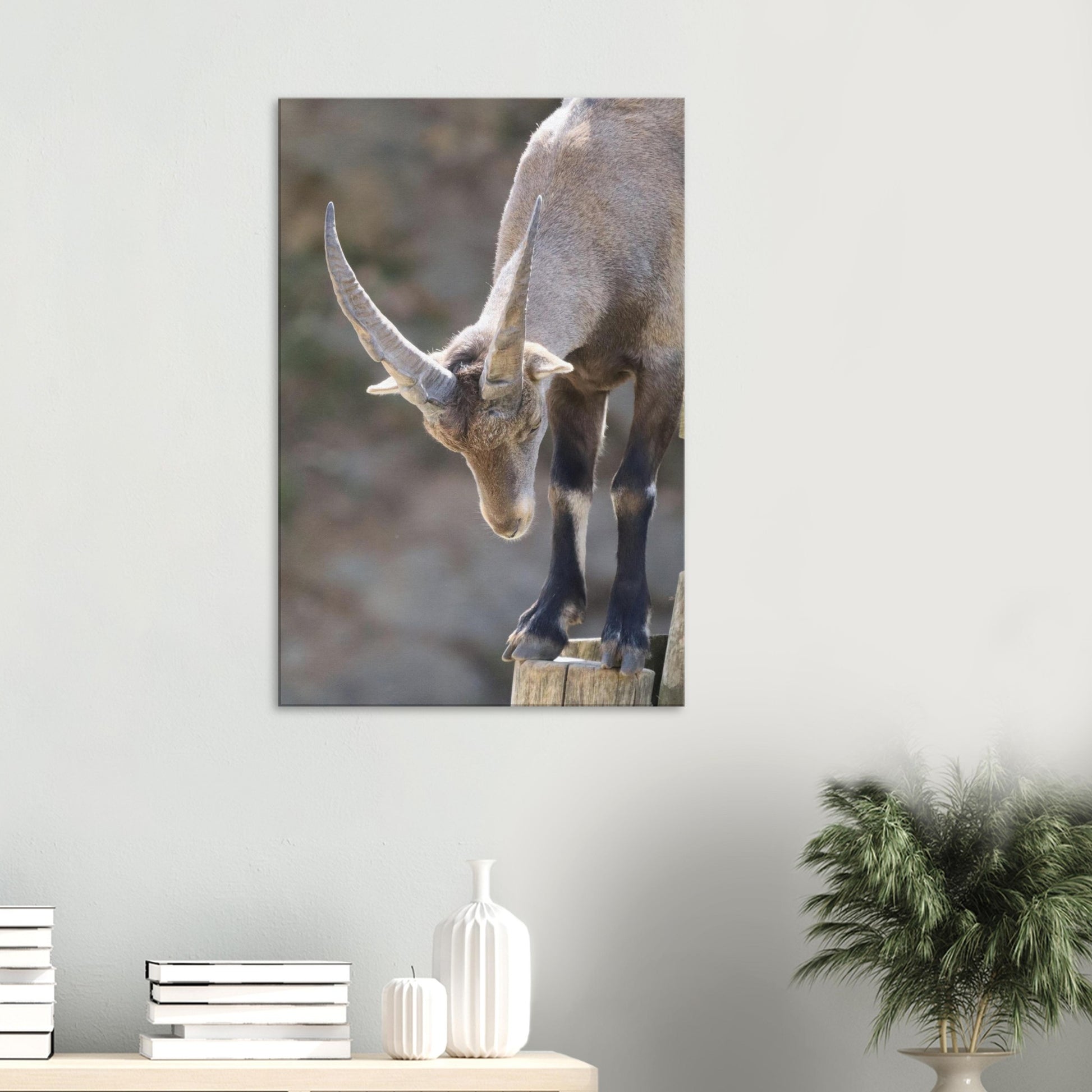 594abab3-2dce-46d6-844e-cee8d67993c4